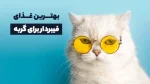 بهترین غذای فیبردار برای گربه: مزایا + طرز تهیه
