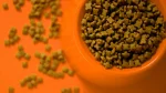 غذای سگ برای کاهش وزن